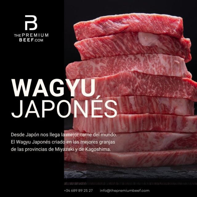 Seleccionamos el mejor Wagyu japonés para quienes buscan una experiencia gastronómica de nivel superior. Nos enorgullece ofrecer una carne tan especial, que destaca por su marmoleado y sabor excepcional.🥩 Si deseas probar esta maravilla, contáctanos y haz tu pedido.

#tpb #thepremiumbeef #wagyu #wagyujapones #carnepremium #carnedecalidad #gourmet #cocinagourmet